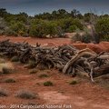 LesterKnutsen_Canyonlands_2014_DSC5772.jpg